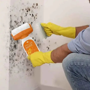 Cleaning mold from a wall with a mold remover spray and scrub brush, wearing yellow gloves