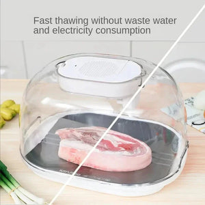 Rapid USB Defrosting Tray for Frozen Meat and Poultry - Shoplex