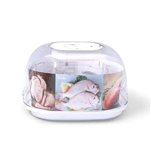 Rapid USB Defrosting Tray for Frozen Meat and Poultry - Shoplex