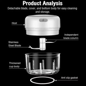 Electric food chopper parts diagram showing host, stainless steel blade, cup body, and gasket.